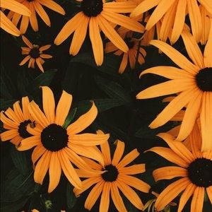 Meet your Posher, Fernanda